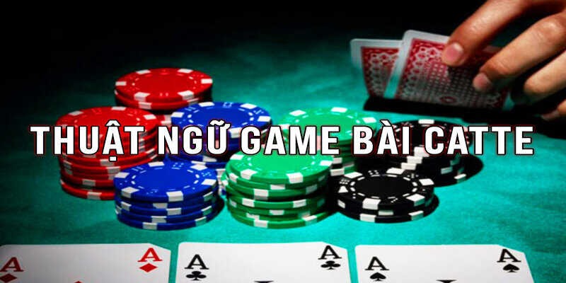 Các thuật ngữ cần nhớ trong bài catte